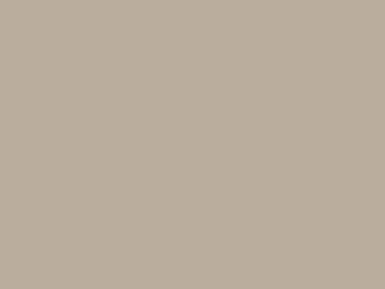 Kleurstaal Taupe Koud